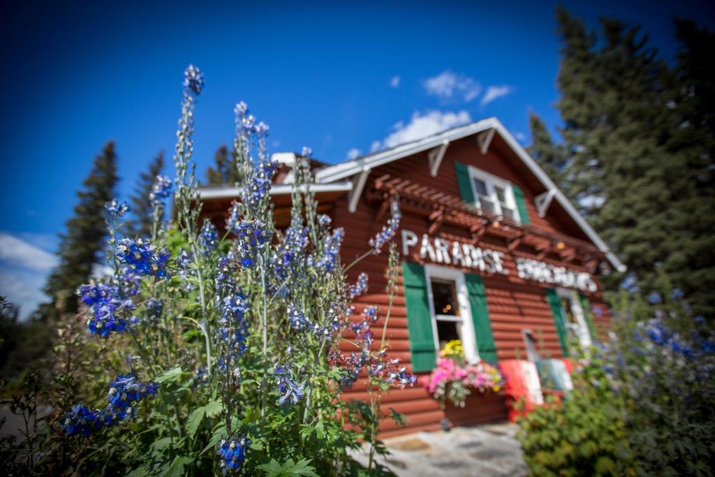 Paradise Lodge And Bungalows Lake Louise Kültér fotó